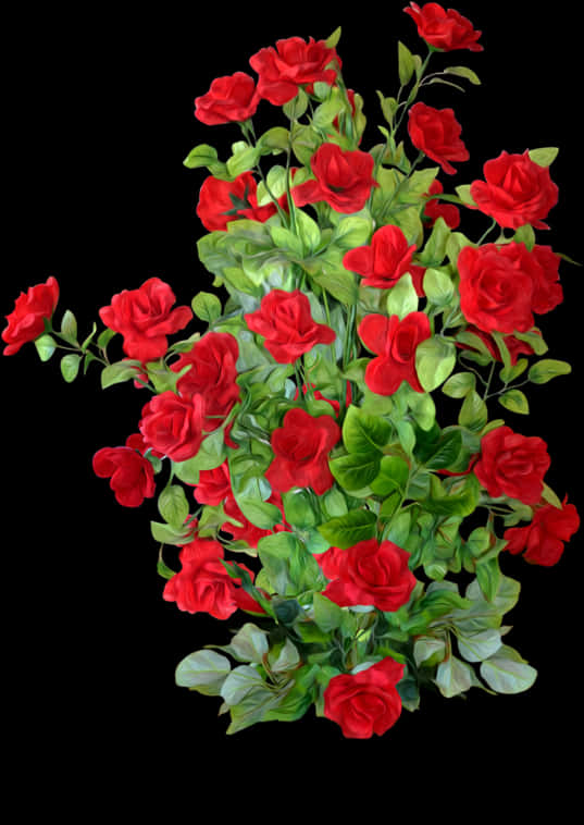 Red Rose Bushon Black Background PNG