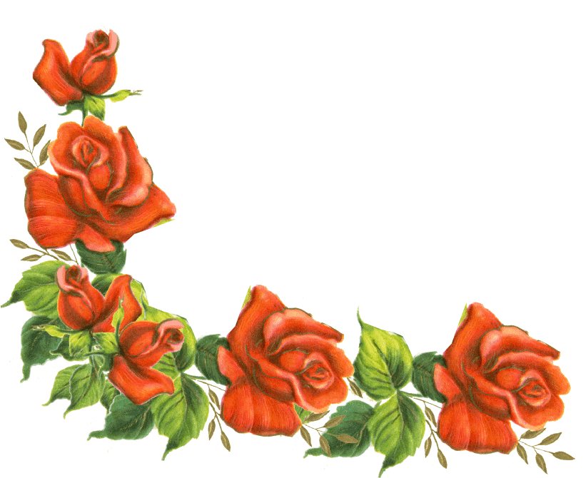 Red Rose Corner Design PNG