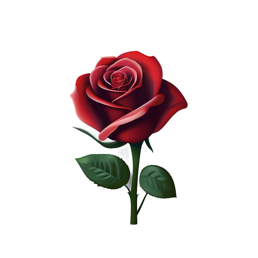 Download Red Rose Fade Png Fgd | Wallpapers.com