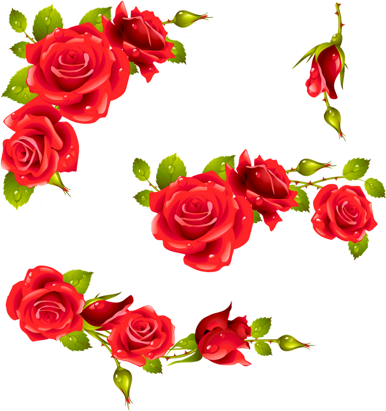 Red Rose Floral Design Element PNG