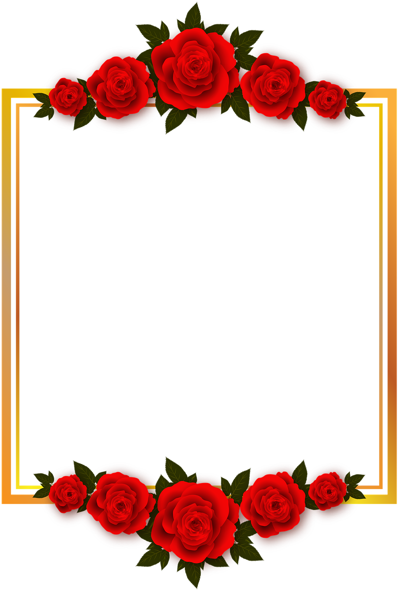 Red Rose Frame Design PNG