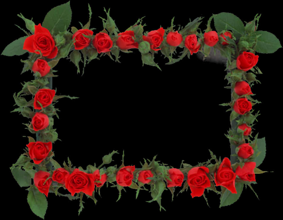 Red Rose Frameon Black Background PNG