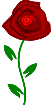 Red Rose Graphic Art PNG