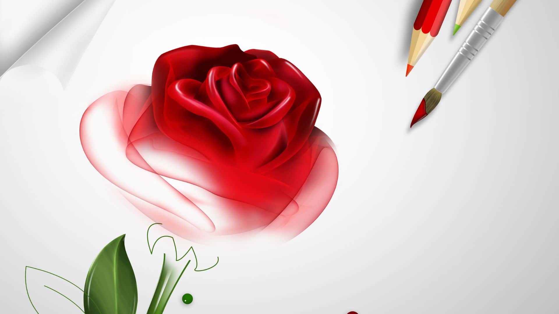 Ilustraciónde Una Rosa Roja En Progreso Fondo de pantalla