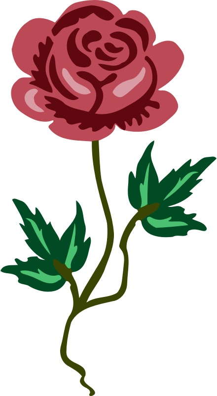 Red Rose Illustration PNG