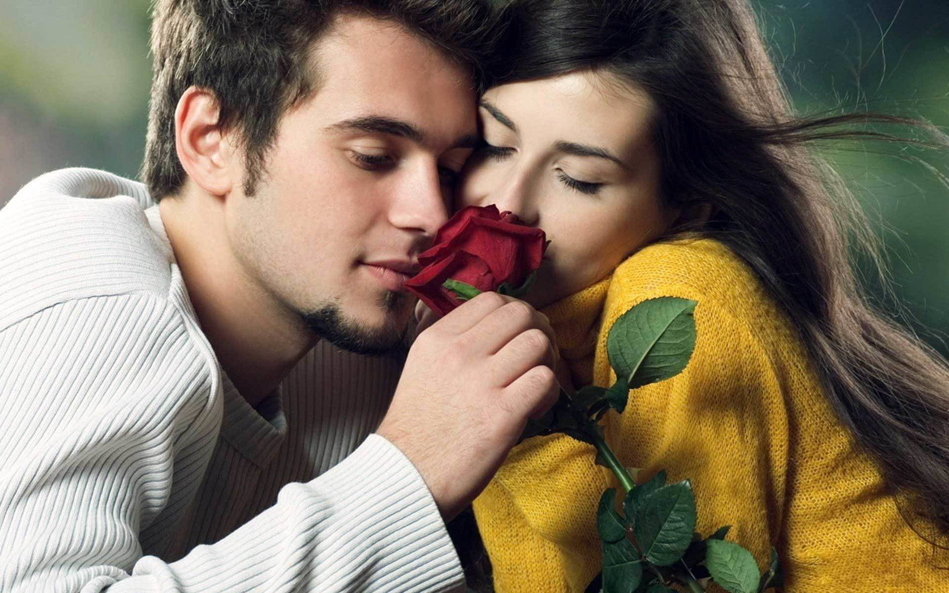 Red Rose Kissing Hd Wallpaper