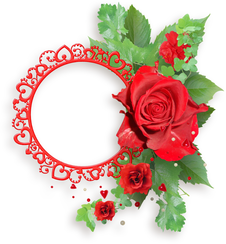 Red Rose Love Frame P N G PNG