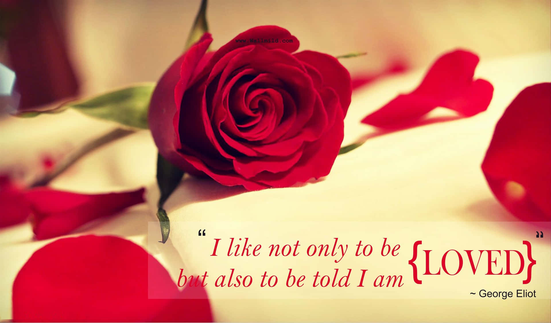 Red Rose Love Quote George Eliot Wallpaper