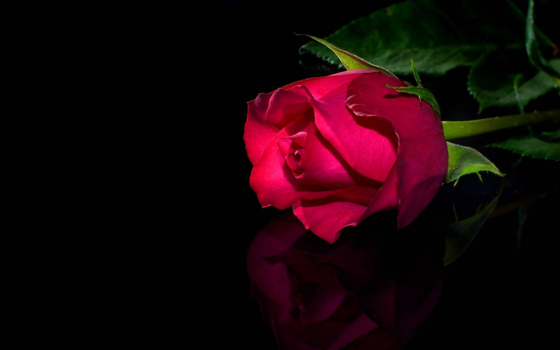 Red Rose On Glossy Black Backdrop Wallpaper