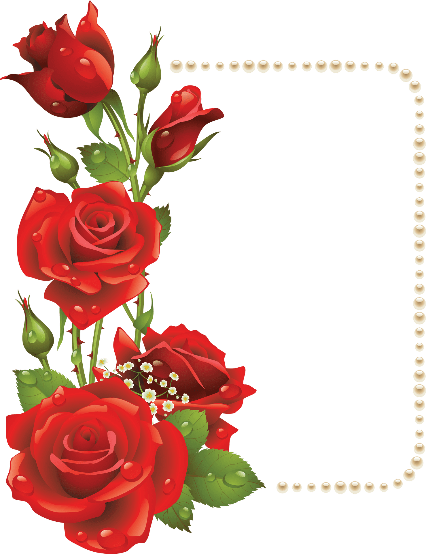 Red Rose Pearl Frame Design PNG