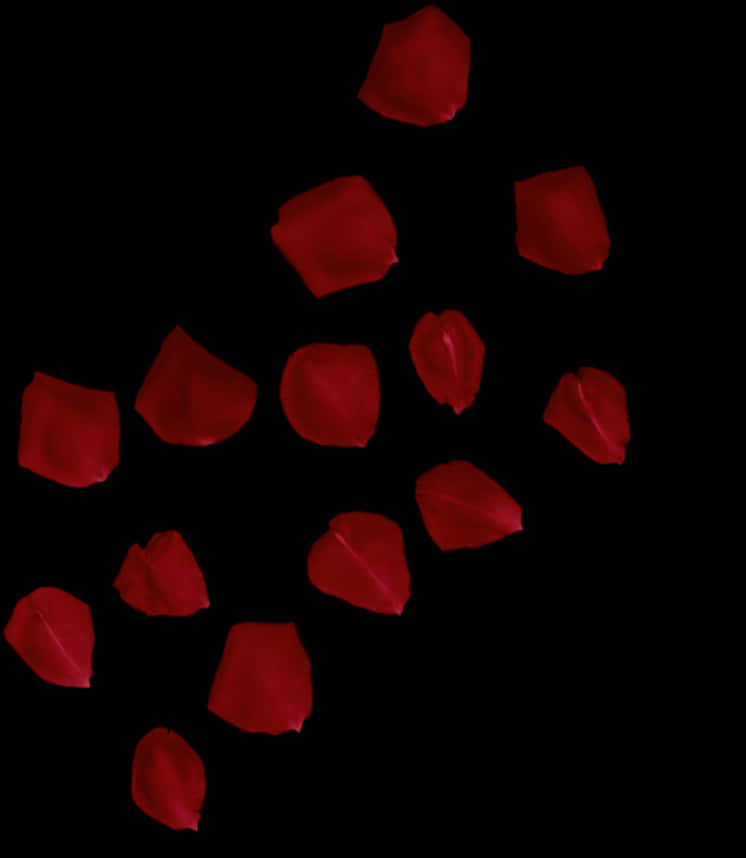 Red Rose Petals Black Background PNG