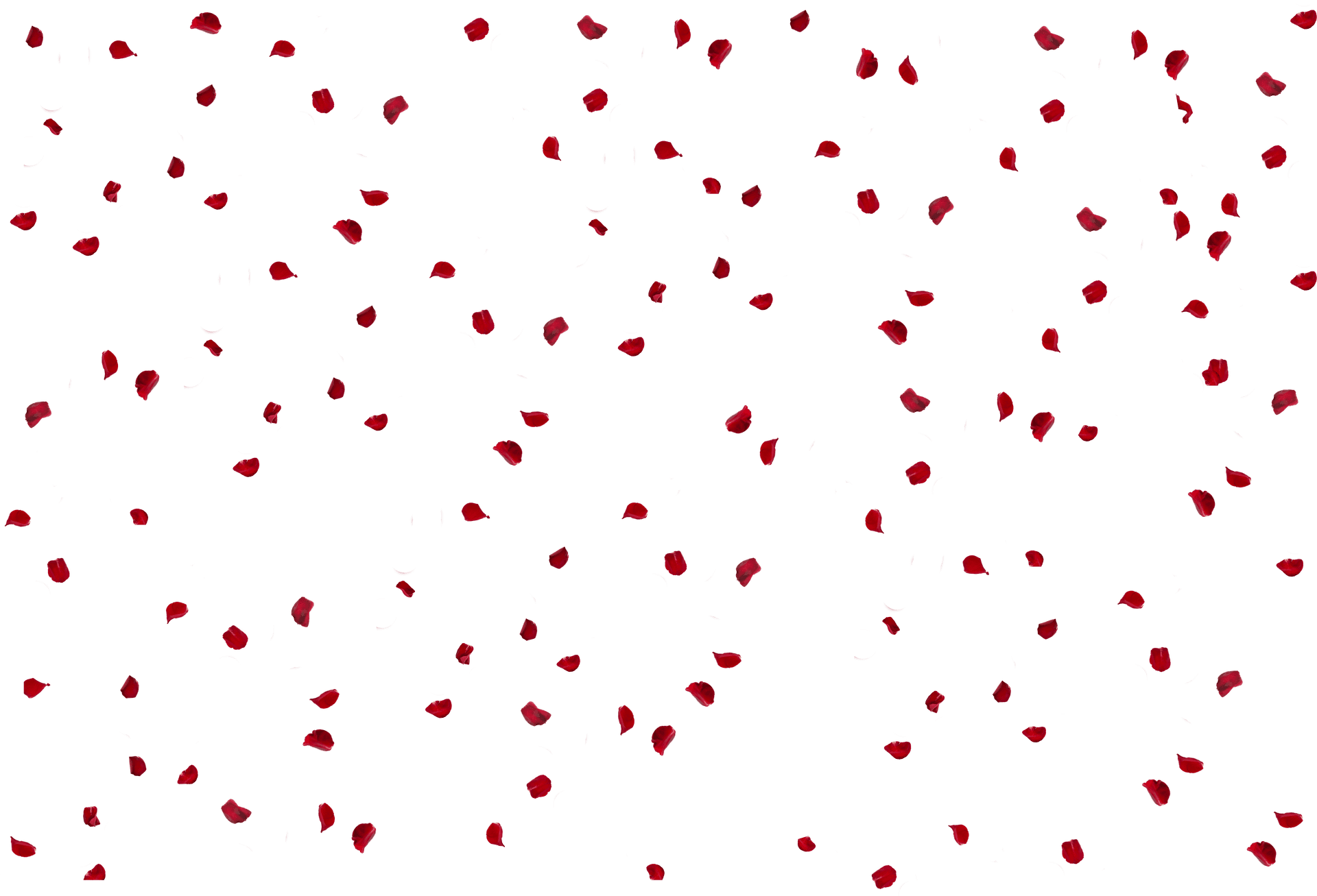 Red Rose Petals Falling Dark Background PNG