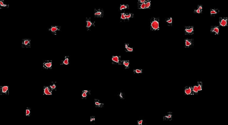 Red Rose Petals Fallingon Black Background PNG