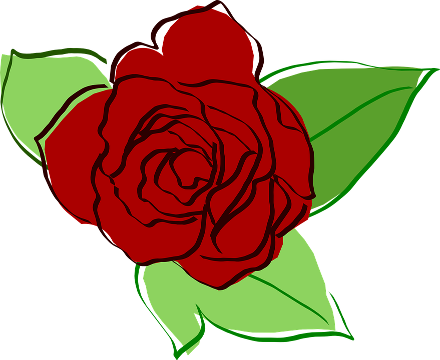 Red Rose Sketch Artwork PNG