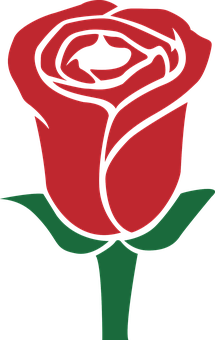 Red Rose Vector Art PNG