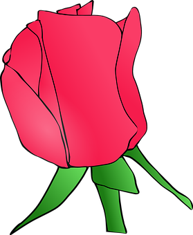 Red Rose Vector Art PNG