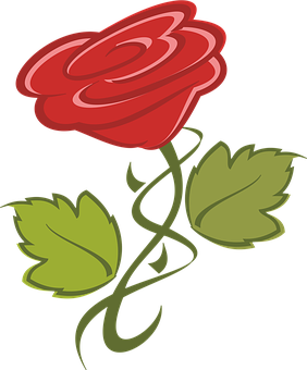 Red Rose Vector Art PNG