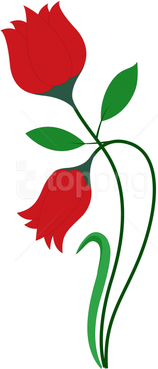 Red Rose Vector Art PNG