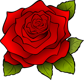 Red Rose Vector Art PNG