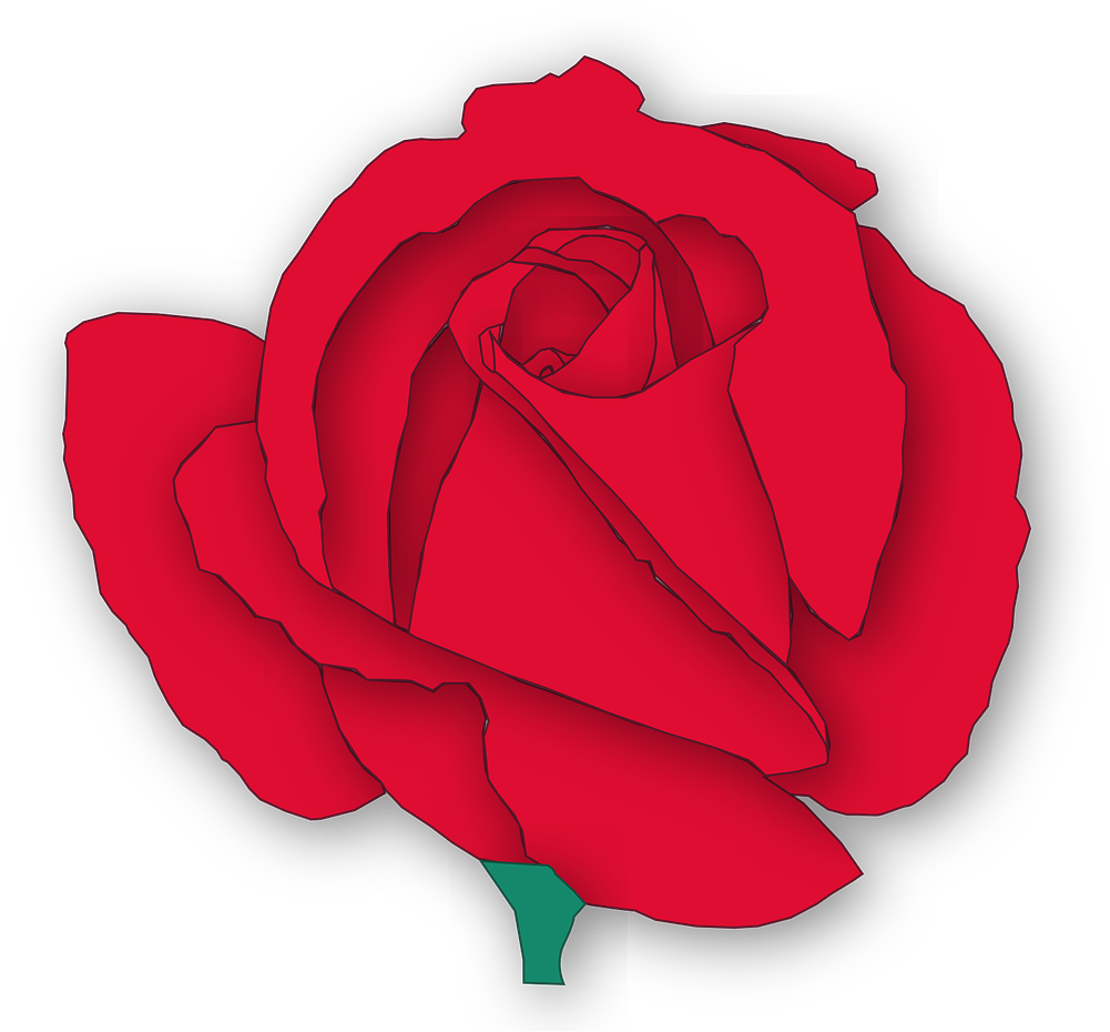 Red Rose Vector Art PNG