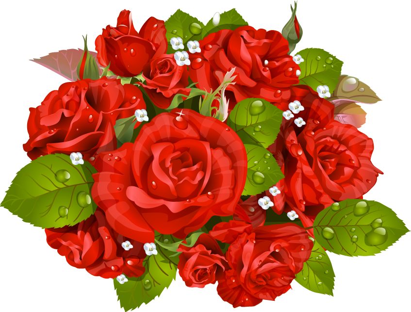 Red Rose Vector Bouquet PNG