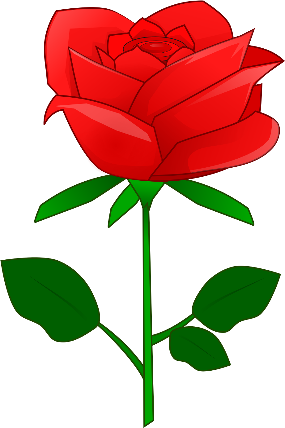 Red Rose Vector Clipart PNG