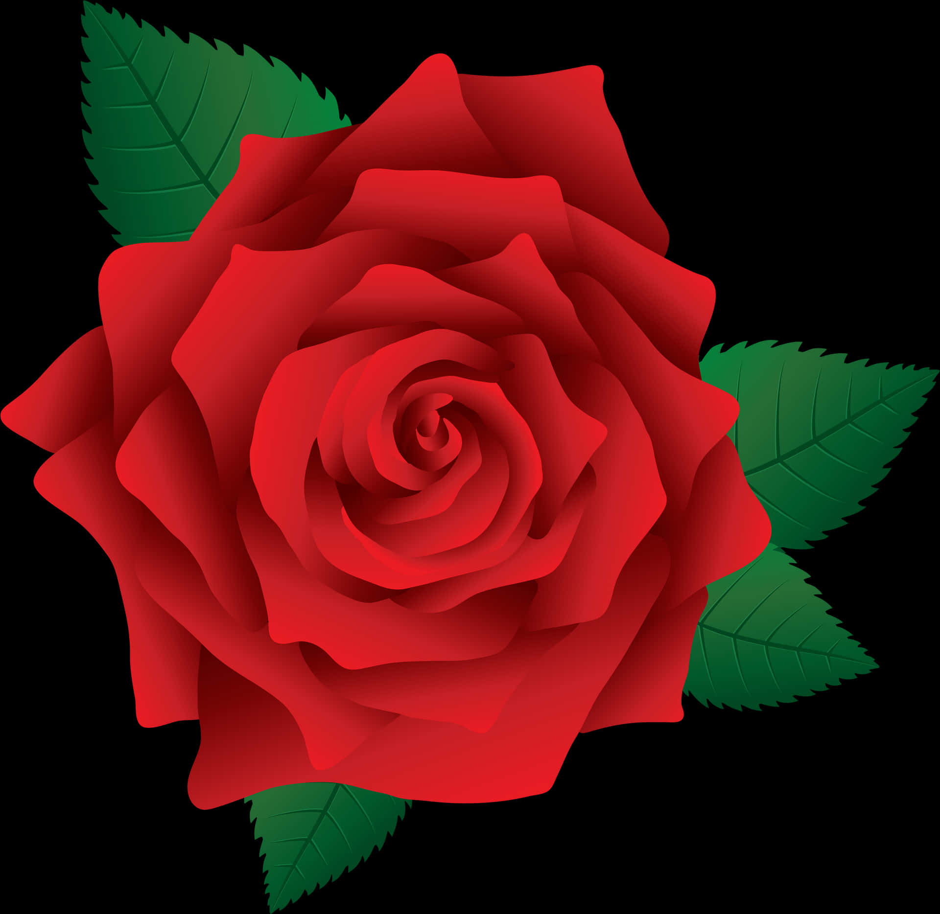 Red Rose Vector Illustration PNG