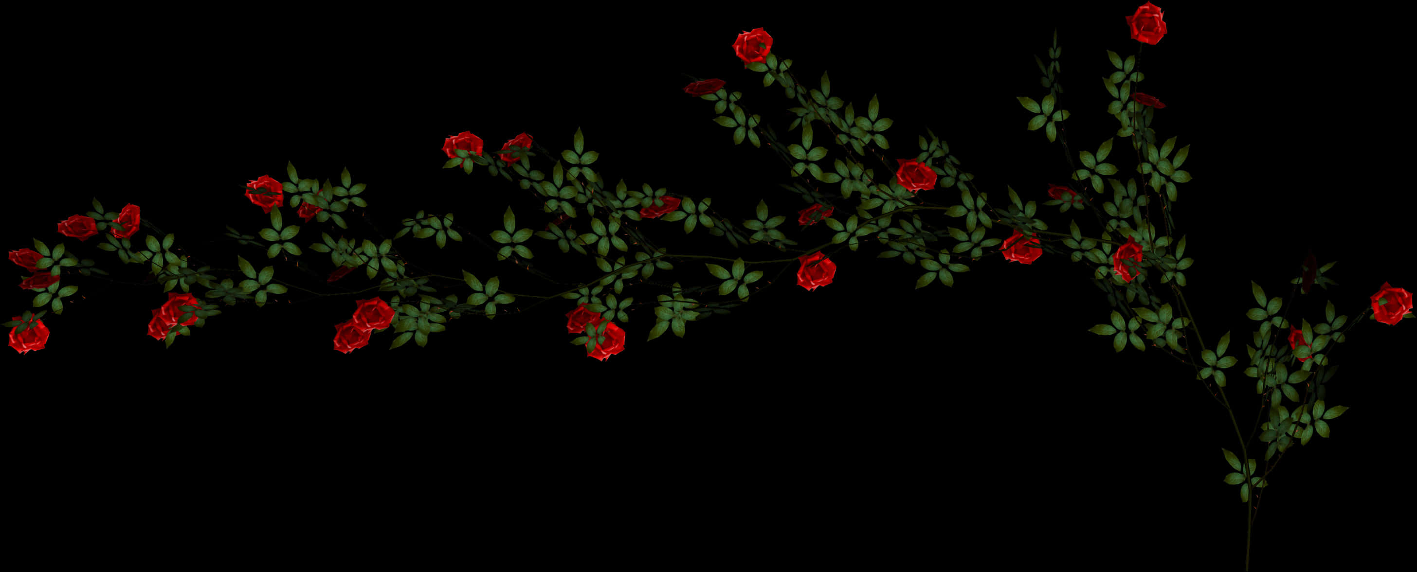 Red Rose Vine Black Background PNG