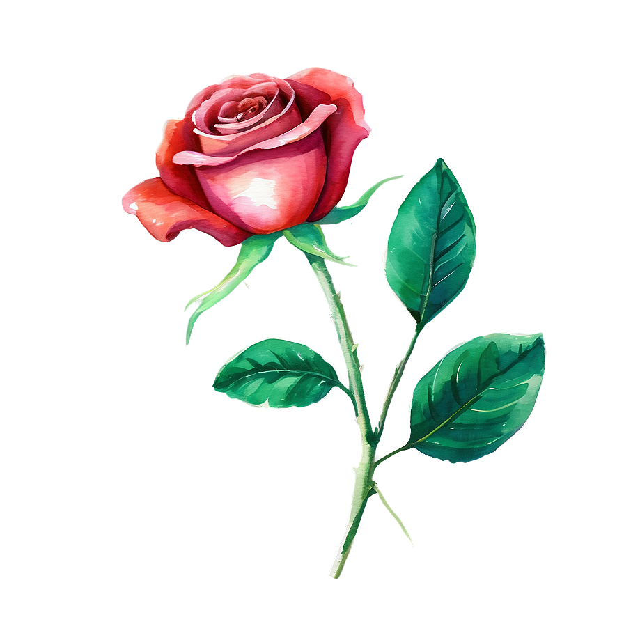 Red Rose Watercolor Png 05242024 PNG