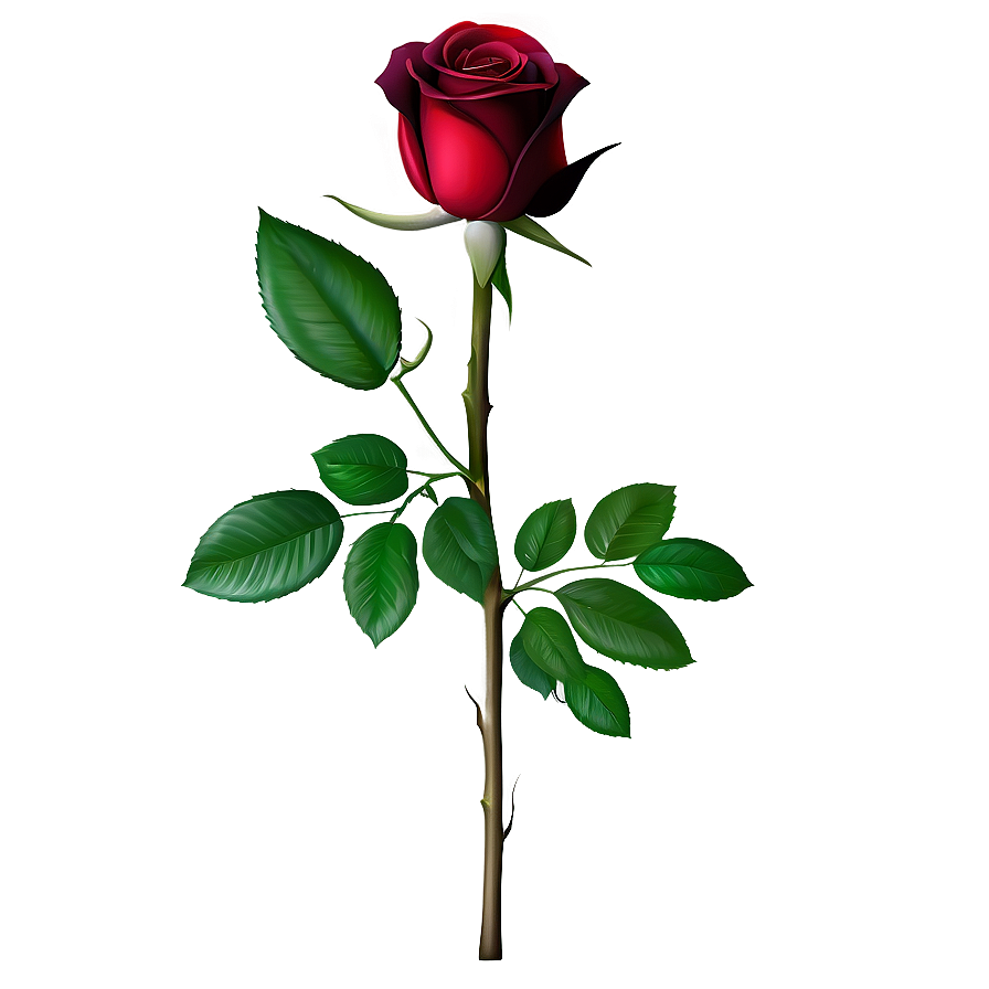 Download Red Rose With Leaves Png 84 | Wallpapers.com