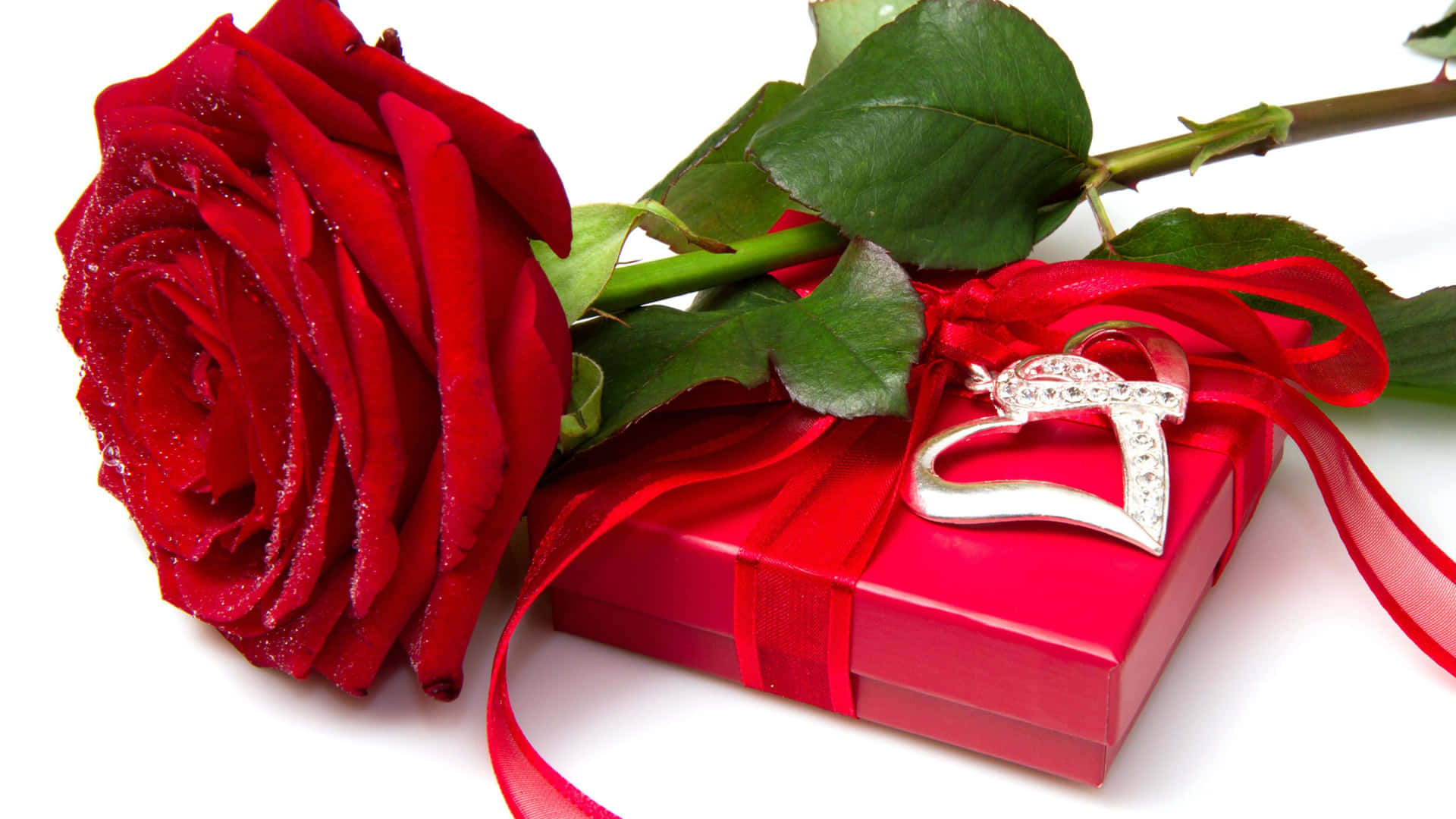 Red Roseand Gift Boxwith Ring4 K Wallpaper