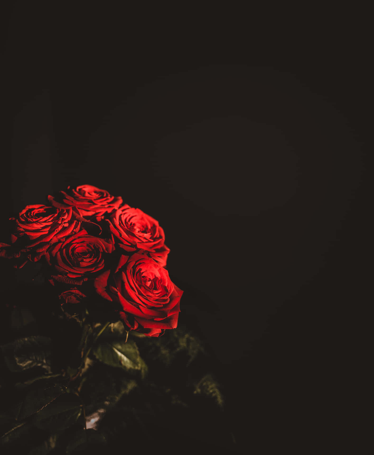 Enbuket Af Røde Roser På En Sort Baggrund