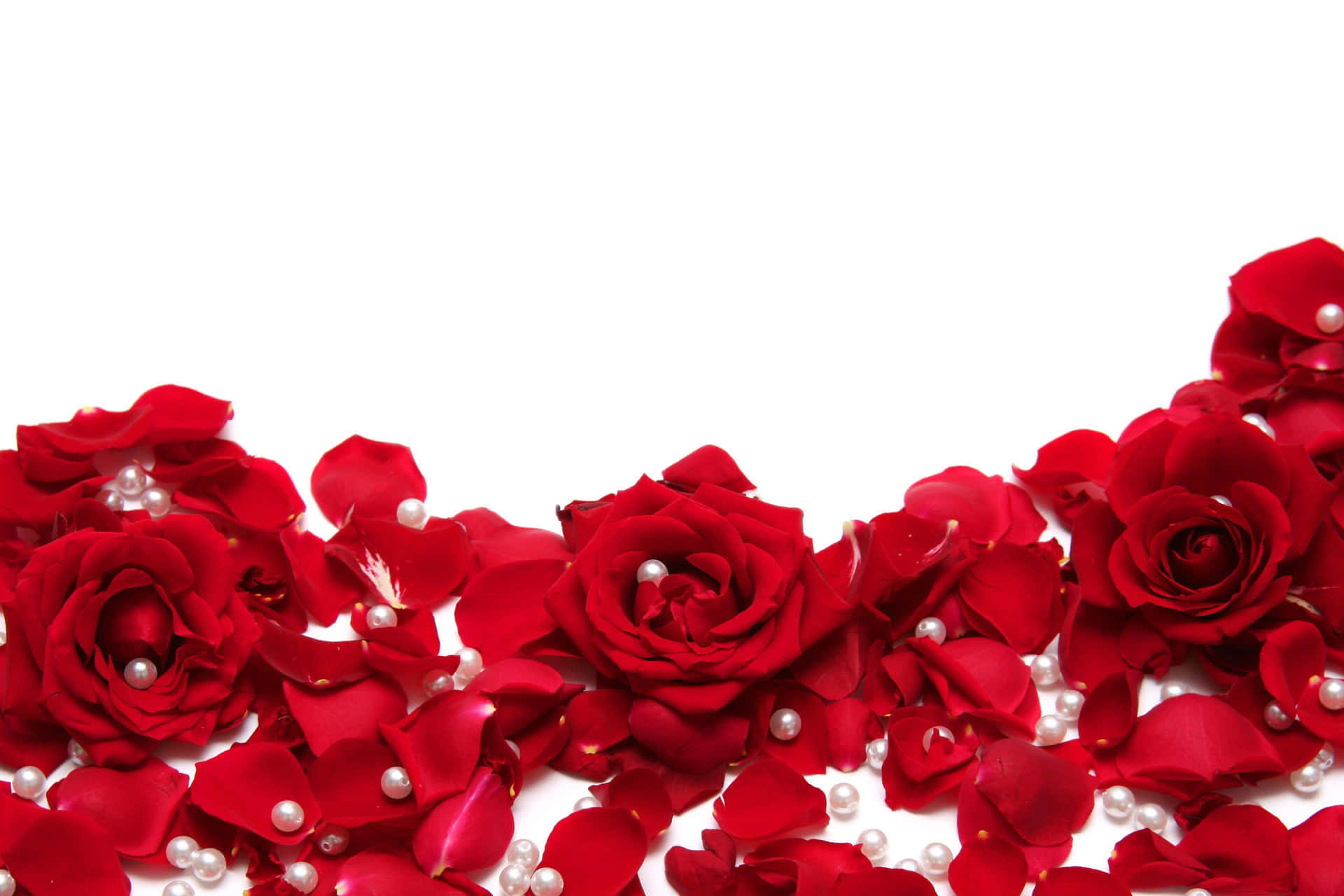 Red Roses And Pearls On A White Background