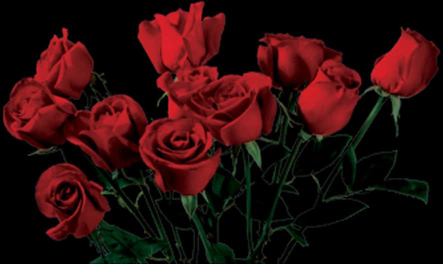 Red Roses Bouquet Dark Background PNG