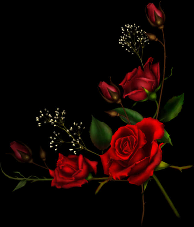 Red Roses Dark Background PNG