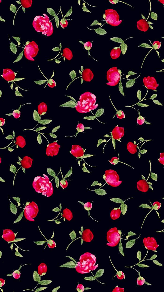 Roterosen Blumen Iphone Wallpaper