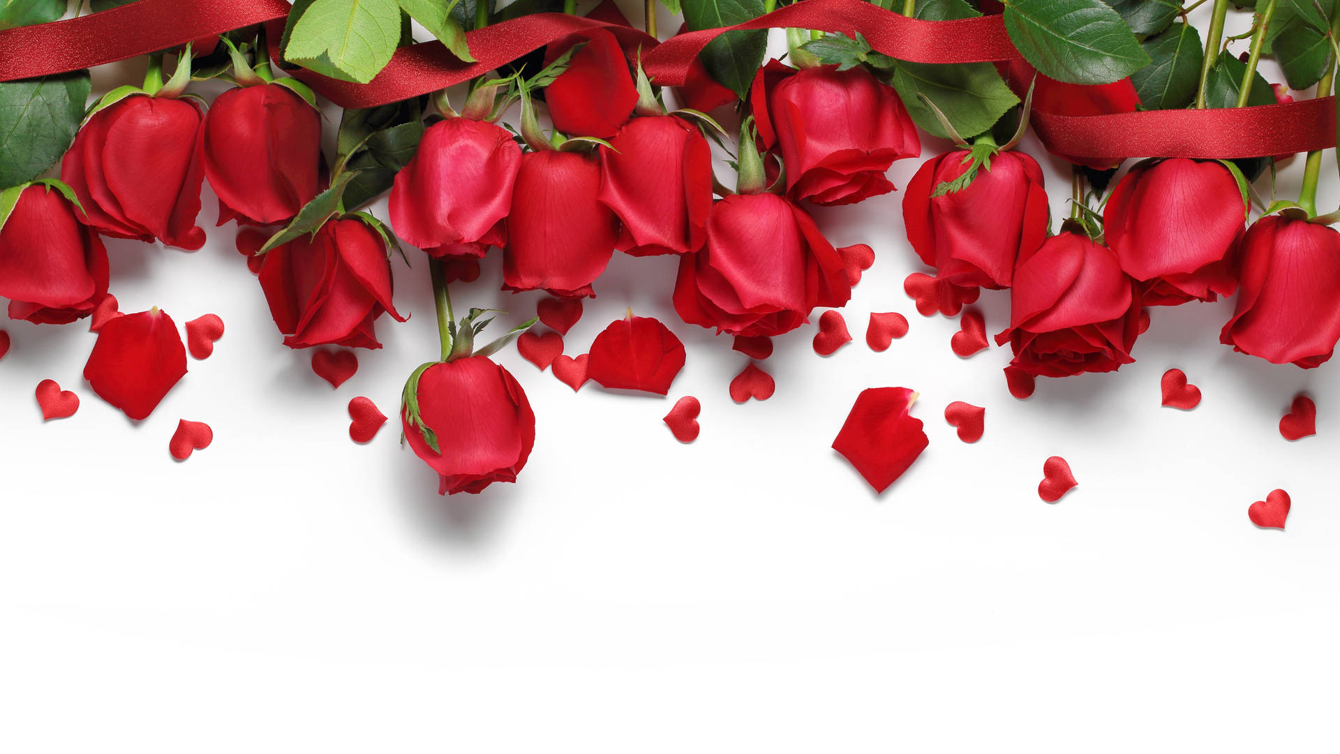Red Roses Google Meet Virtual Background Wallpaper