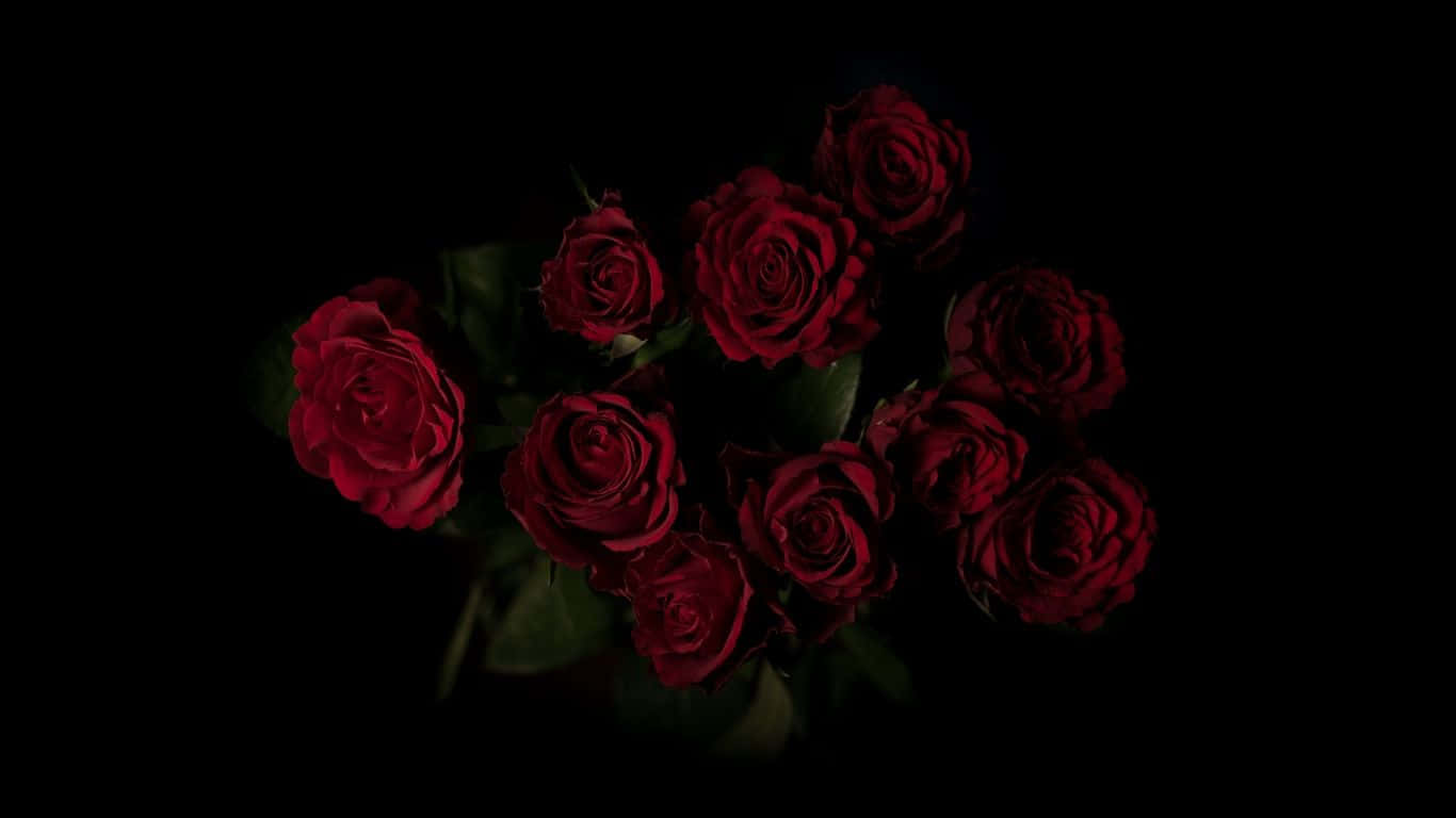 Rosasvermelhas Em Um Laptop Em Uma Sala Fraca De Iluminação. Papel de Parede