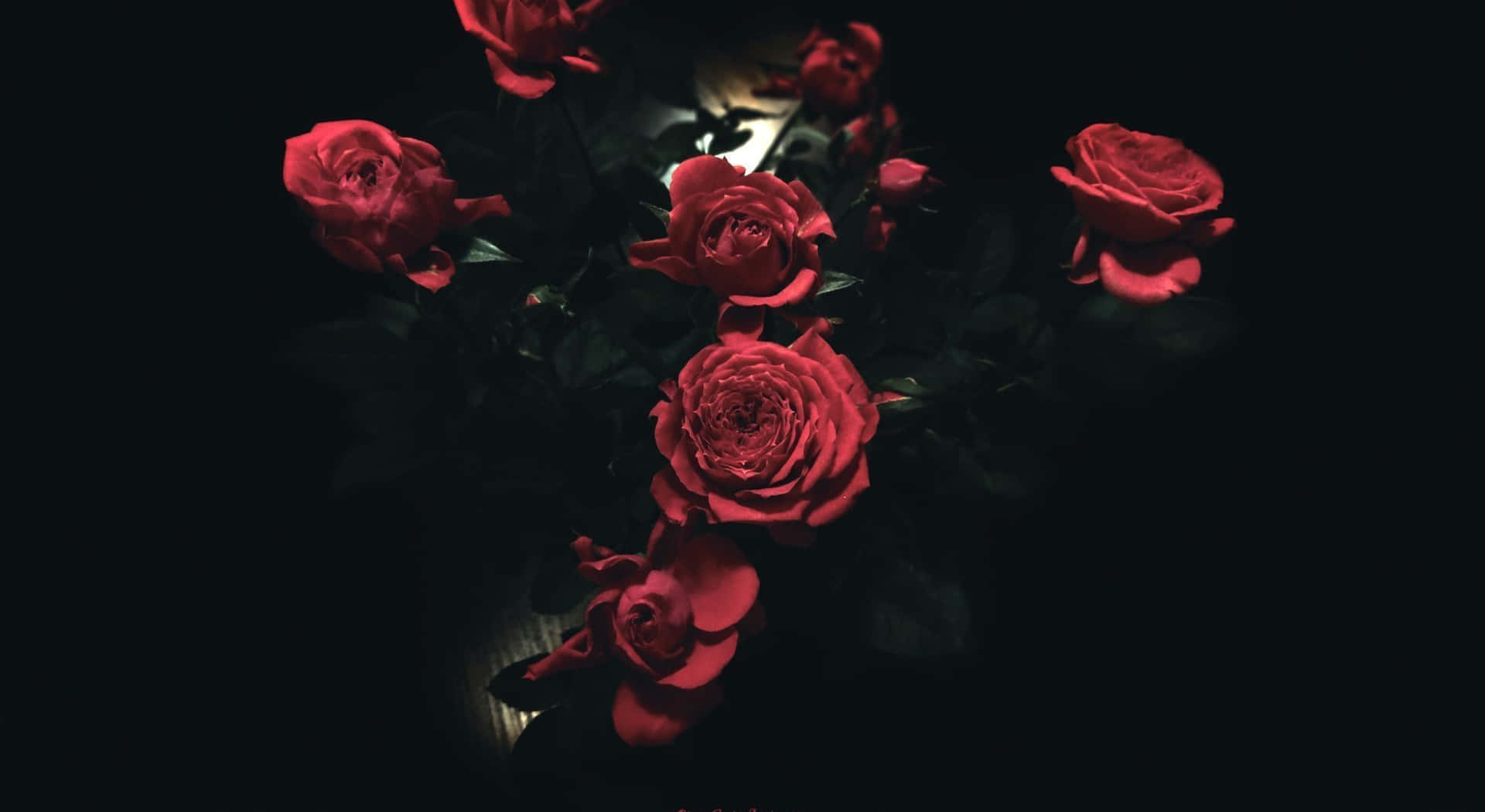 Arranjode Flores De Rosas Vermelhas Para Notebook. Papel de Parede