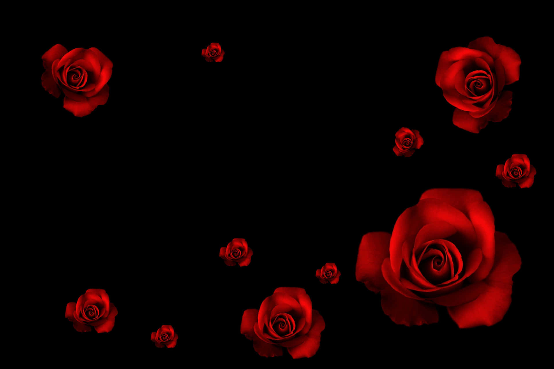 Papel De Parede Para Laptop: Estética Preta Com Rosas Vermelhas Totalmente Florescidas. Papel de Parede