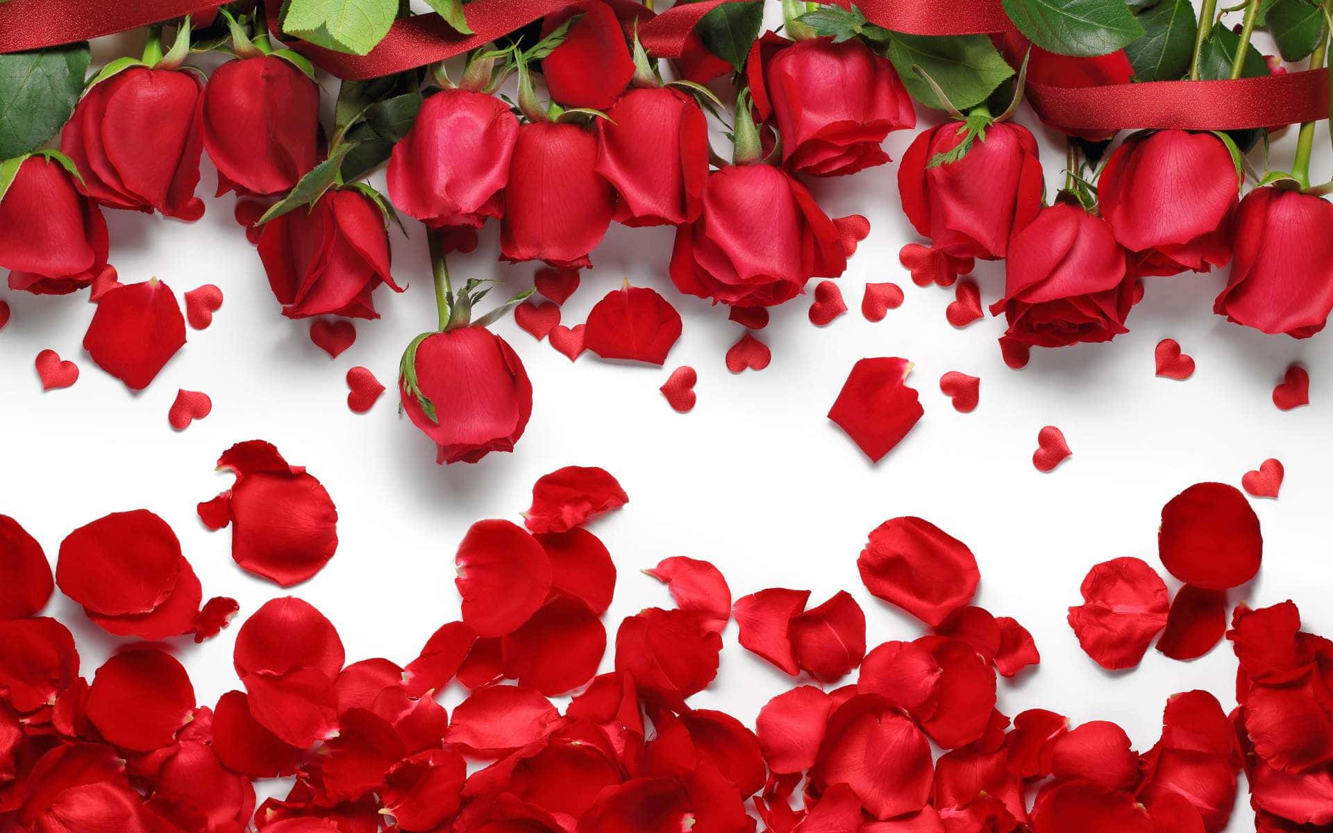 Array Of Inverted Red Roses Laptop Wallpaper