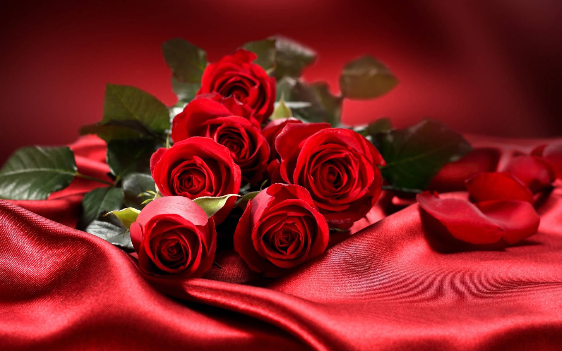 Red Roses On Silk Wallpaper