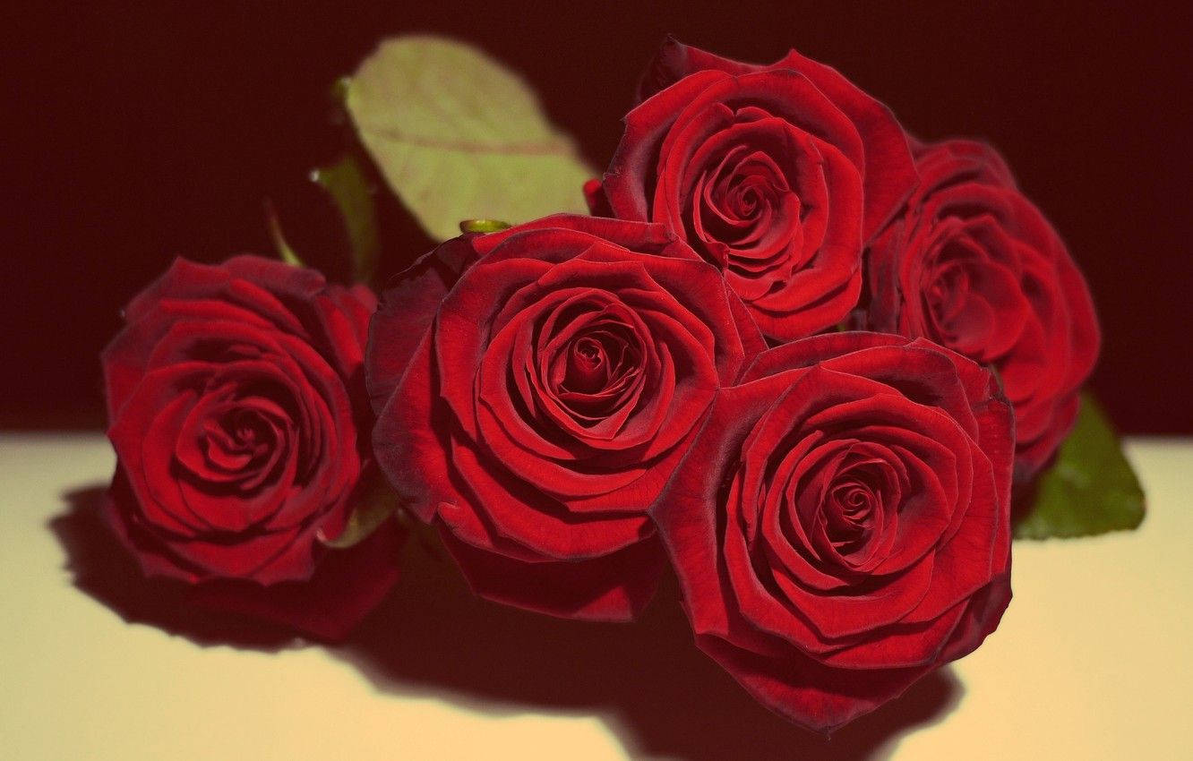 Desktop Di San Valentino Con Rose Rosse Sfondo