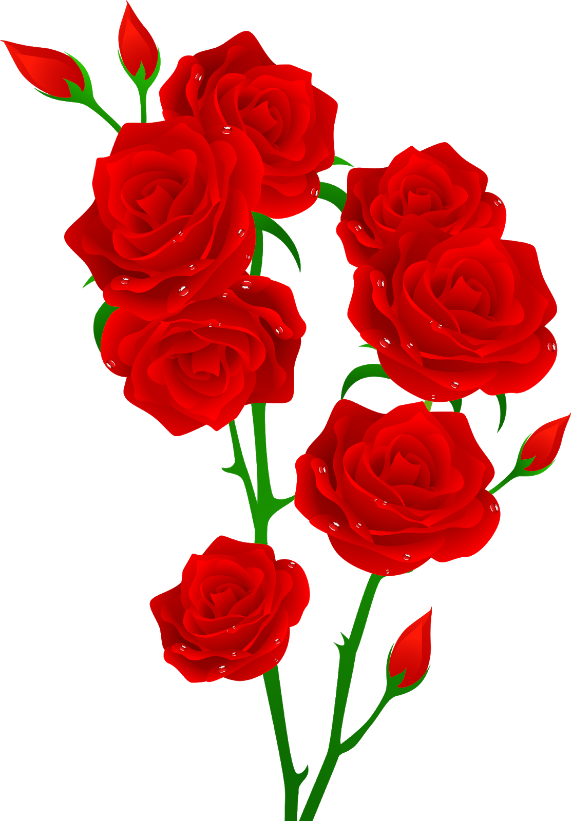 Red Roses Vector Illustration PNG