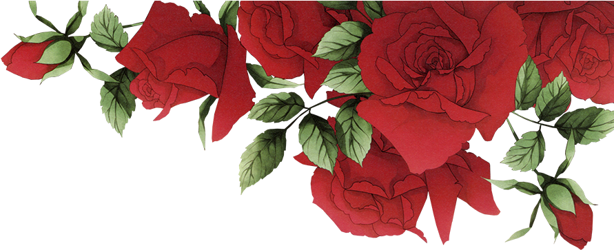 Red Roses Vintage Illustration PNG