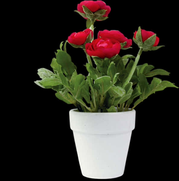 Red Rosesin White Flower Pot PNG