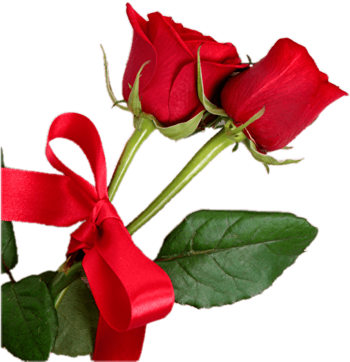 Red Roseswith Ribbon PNG