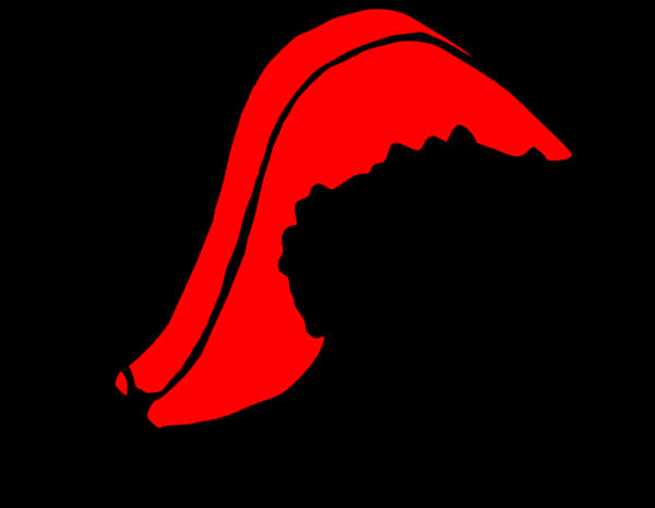 Red Santa Hat Silhouette PNG
