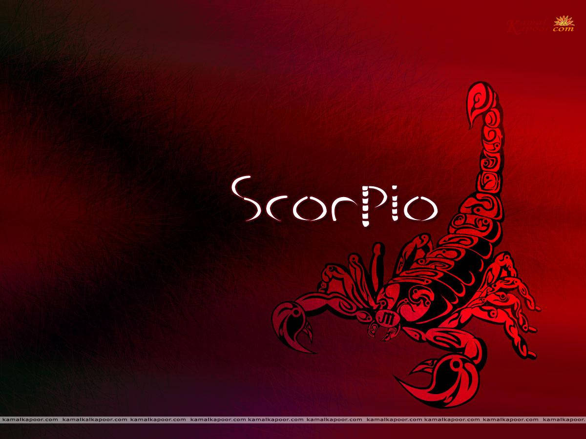 Red Scorpio And Scorpion Wallpaper