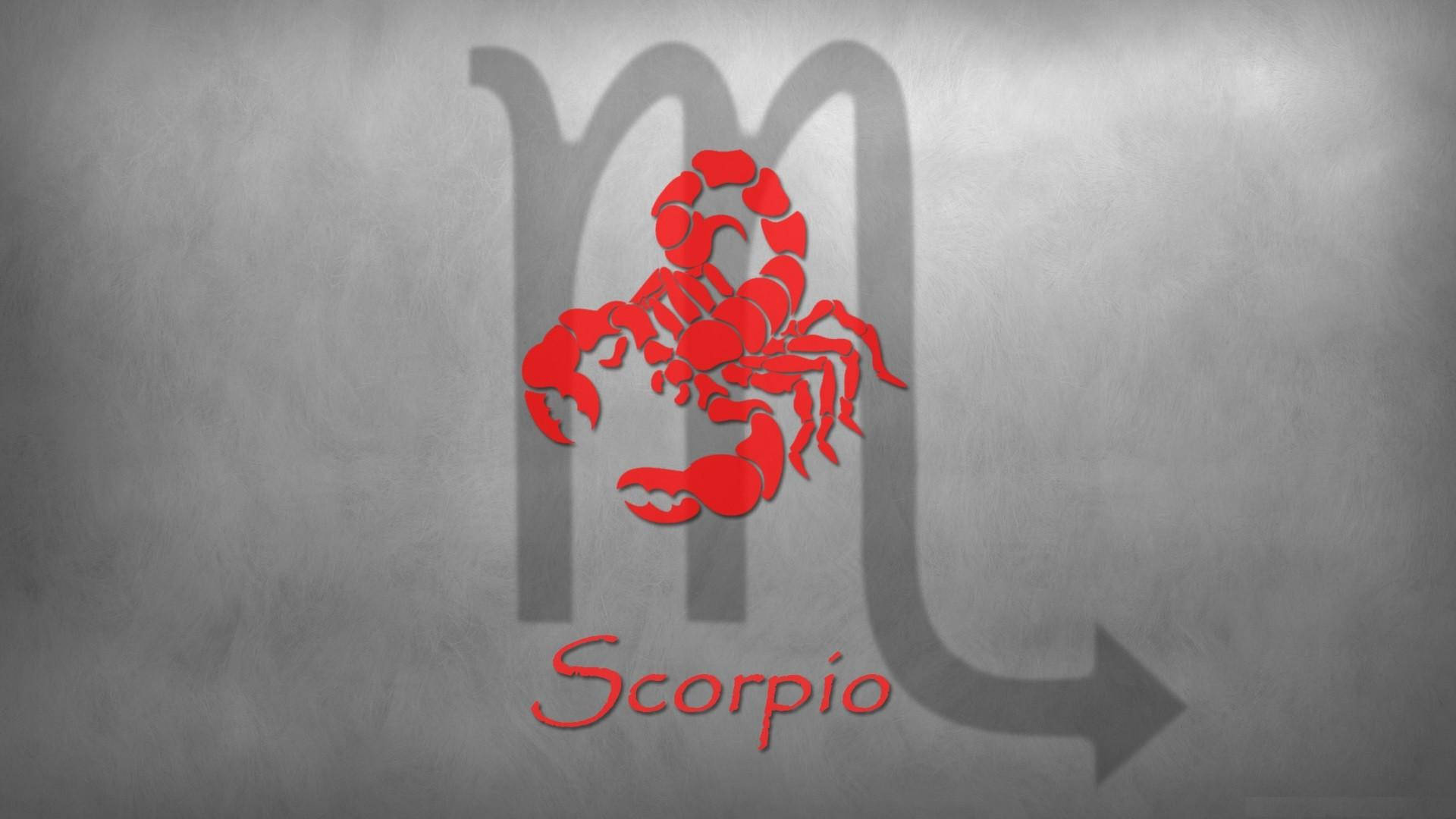 Red Scorpio Gray Wallpaper